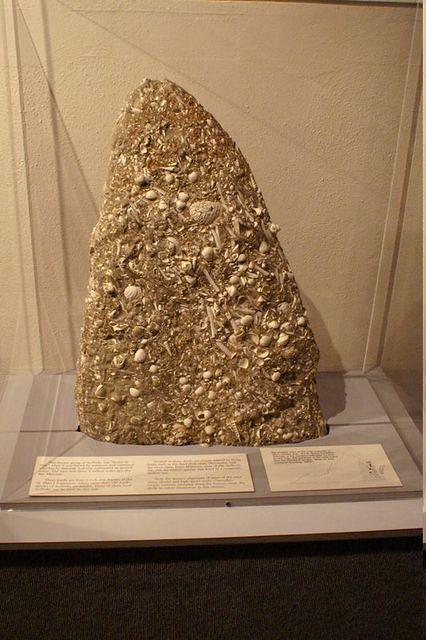 PICT1317.JPG