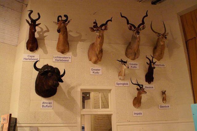 PICT1339.JPG