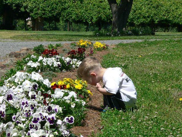 Robert stops to smell the flowers