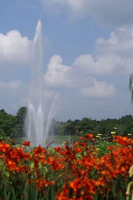 PICT8155.JPG