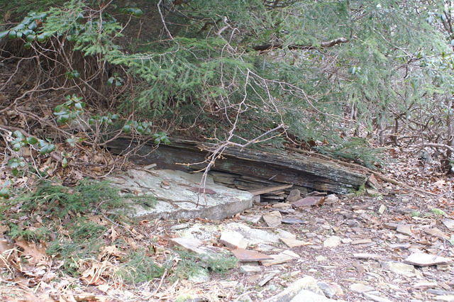 PICT7458.JPG