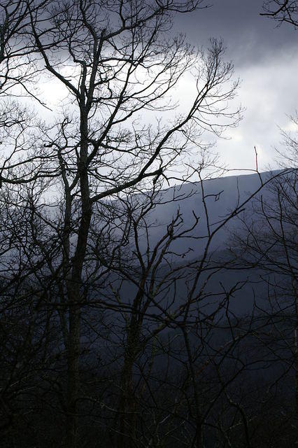 PICT7462.JPG