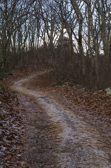 PICT7466.JPG
