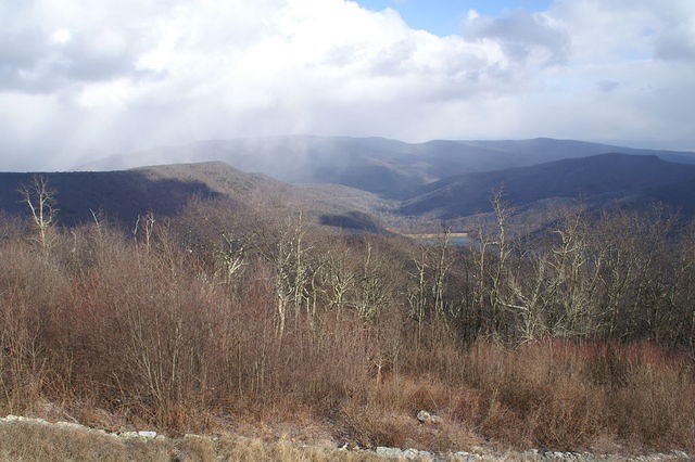 PICT7472.JPG