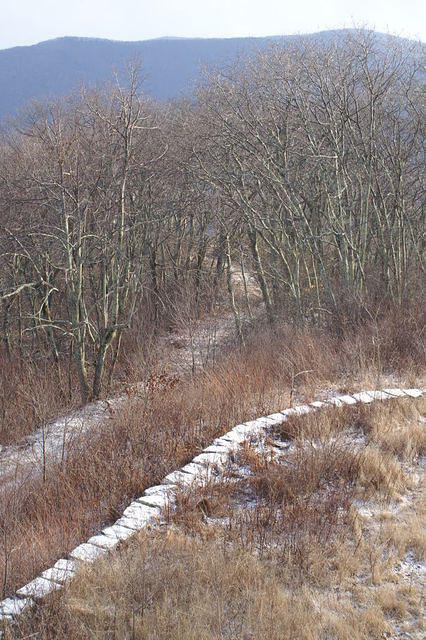 PICT7474.JPG