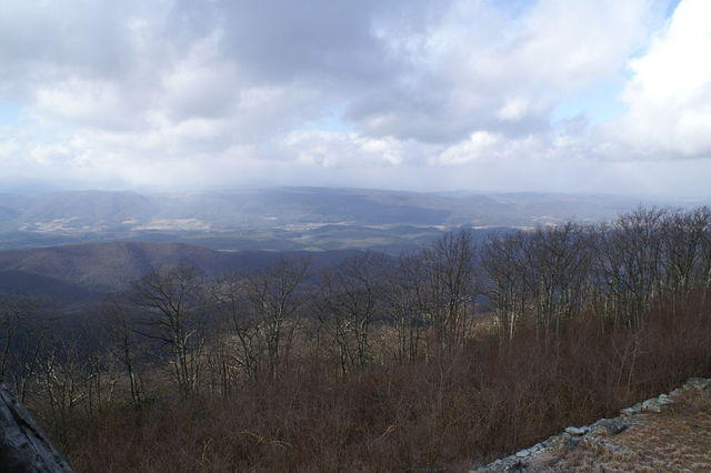 PICT7476.JPG
