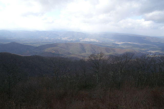 PICT7489.JPG