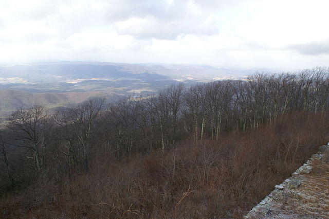 PICT7490.JPG