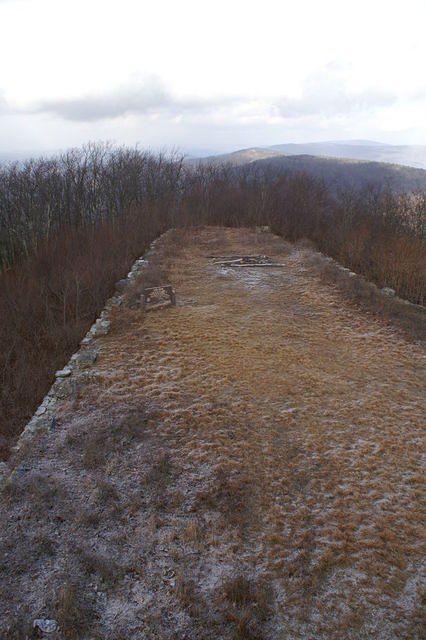 PICT7491.JPG