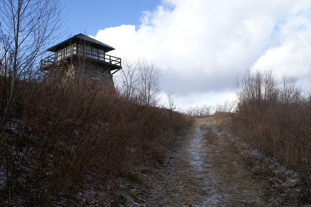 PICT7511.JPG