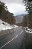 Photo Contest Images