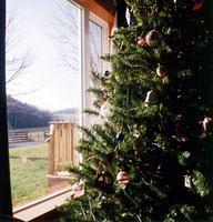 Out our front window.