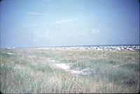 6607w08.jpg