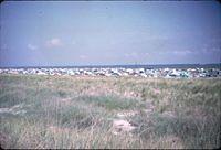 6607w09.jpg