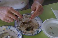 Some big shrimp for the grill (Mmmm Mmmm good)